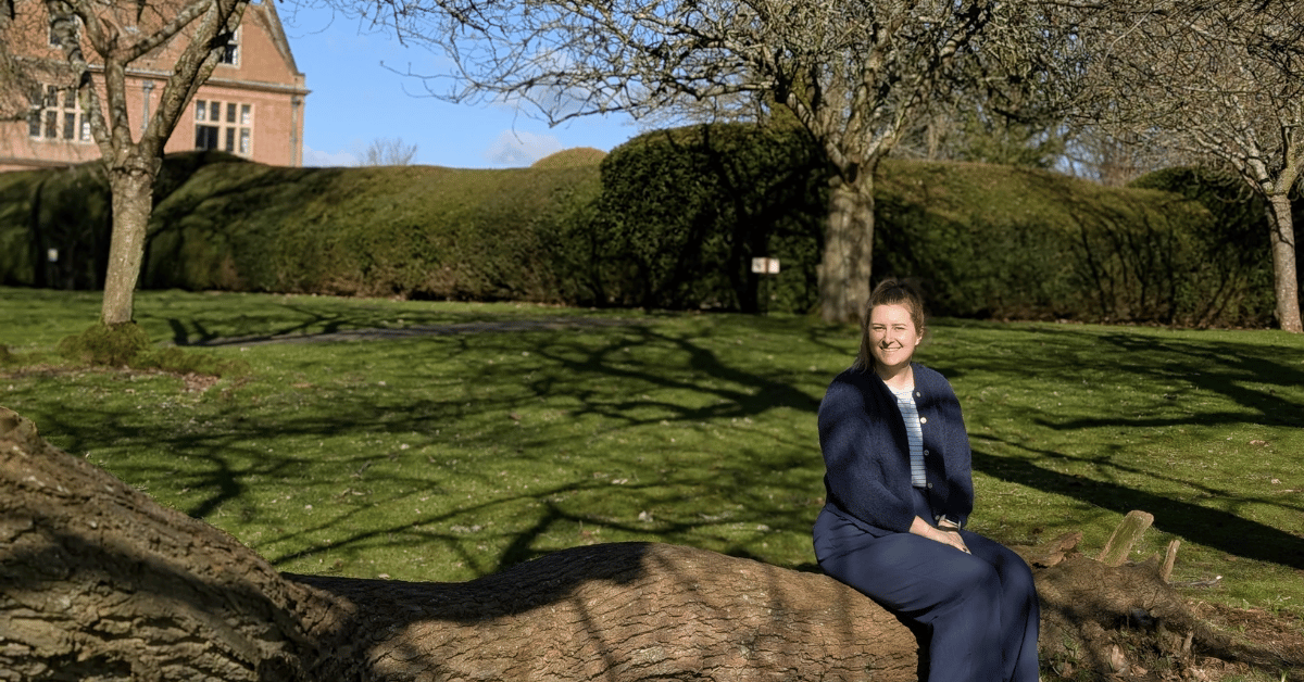 c sat on a tree