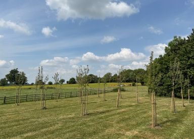Orchard www.horwoodhouse.live